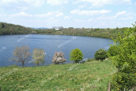 Weinfelder Maar oder Totenmaar