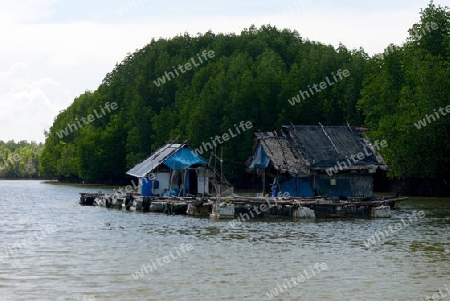 A fishing Village on a lagoon near the City of Krabi on the Andaman Sea in the south of Thailand. 