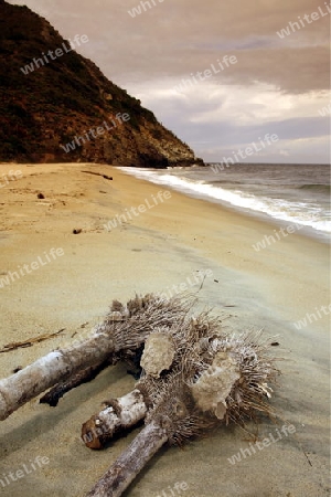 Suedamerika, Karibik, Venezuela, Nord, Chuao, National Park Hanri Pittier, Dorf, Cacao Dorf, Kakao Dorf, Beach, Strand, Natur, Landschaft, Meer