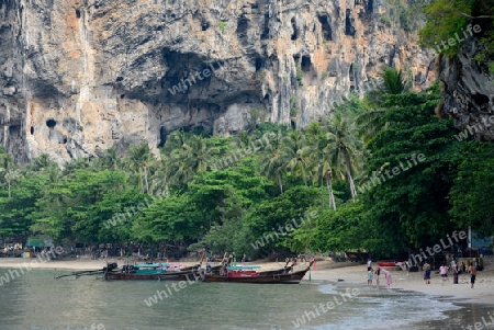 The Hat Tom Sai Beach at Railay near Ao Nang outside of the City of Krabi on the Andaman Sea in the south of Thailand. 