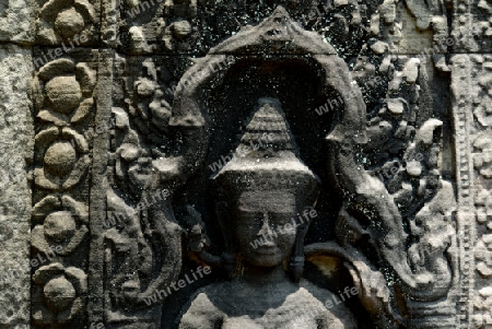 The Temple of  Preah Khan in the Temple City of Angkor near the City of Siem Riep in the west of Cambodia.