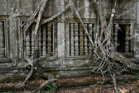 The Tempel Ruin of  Beng Mealea 32 Km north of in the Temple City of Angkor near the City of Siem Riep in the west of Cambodia.