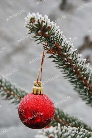 Christbaumkugel im Schnee