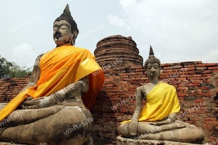 Der Wat Yai Chai Tempel in der Tempelstadt Ayutthaya noerdlich von Bangkok in Thailand.