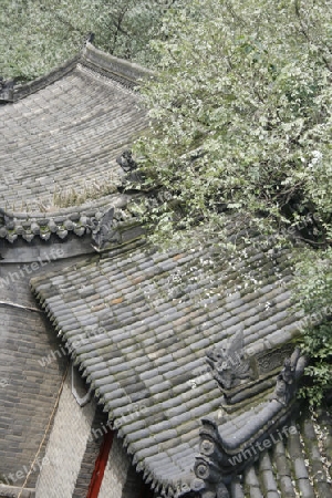 Altstadt von Xian, Blick ueber die Daecher