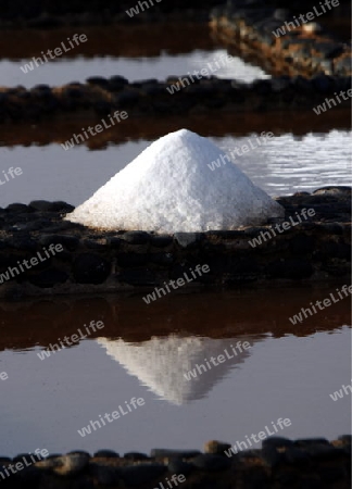 the Salinas of Las Salinas on the Island Fuerteventura on the Canary island of Spain in the Atlantic Ocean.