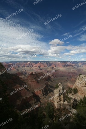 Grand Canyon III