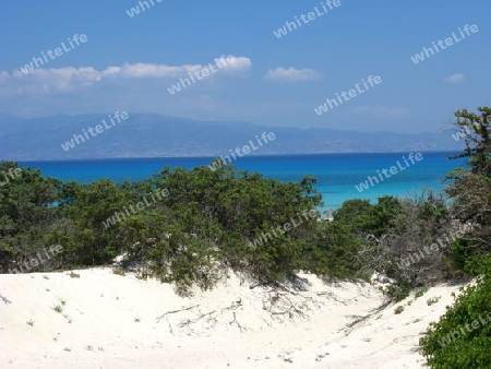 Chrissi Island,  Sandduene am Golden Beach