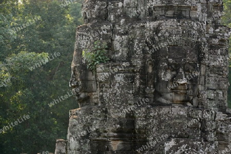 Stone Faces the Tempel Ruin of Angkor Thom in the Temple City of Angkor near the City of Siem Riep in the west of Cambodia.