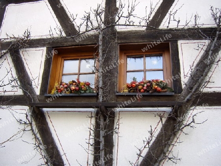 Fachwerkhaus mit Weinranken und Balkonkasten