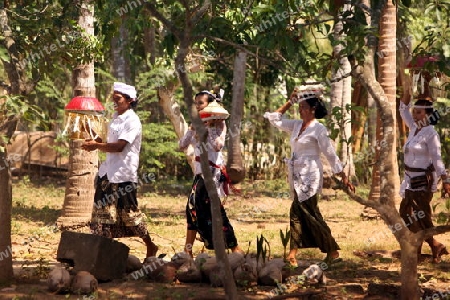 ASIEN, INDONESIEN, BALI, INSEL, NUSA LEMBONGAN, RELIGION, KULTUR, FESTIVAL,GROSSE  ZEREMONIE,  VOLKSFEST, HINDUISMUS, HINDU,HINDU     (URS FLUEELER)