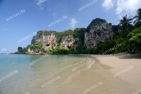 The Hat Tom Sai Beach at Railay near Ao Nang outside of the City of Krabi on the Andaman Sea in the south of Thailand. 