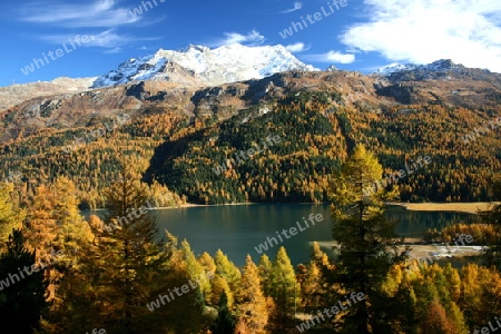 Piz Corvatsch