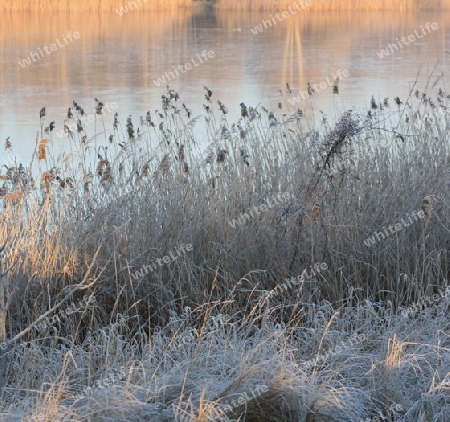 Frostiger Seeblick 1