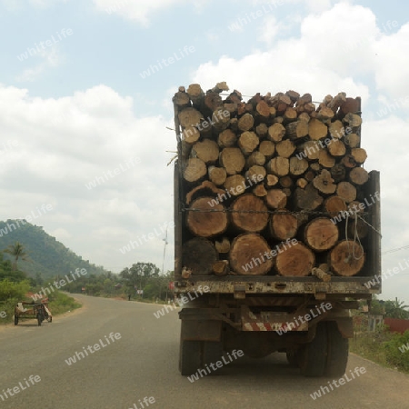 A Transport of Wood near the City of Siem Riep in the west of Cambodia.