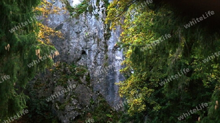 Felsen im Harz