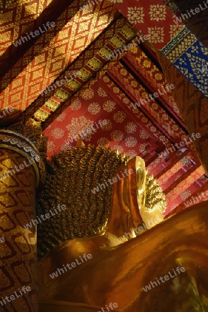 A allday ceremony in the Wat Phanan Choeng Temple in City of Ayutthaya in the north of Bangkok in Thailand, Southeastasia.