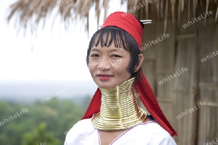 Langhalsfrau in Nordthailand