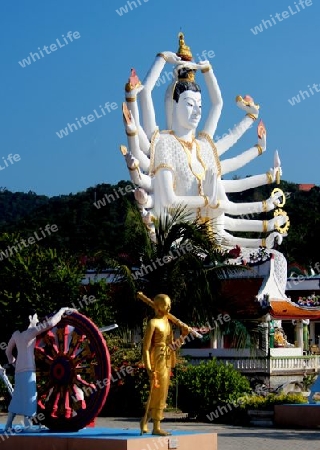 insel ko samui