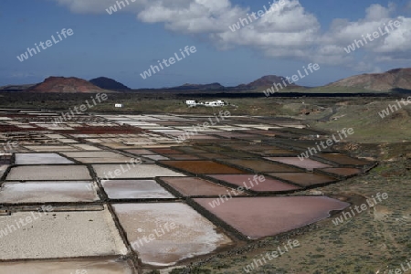 The Salinas in the Laguna of El Charco on the Island of Lanzarote on the Canary Islands of Spain in the Atlantic Ocean.