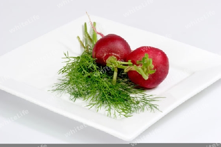 Frische  Radieschen mit Dill auf hellem Hintergrund