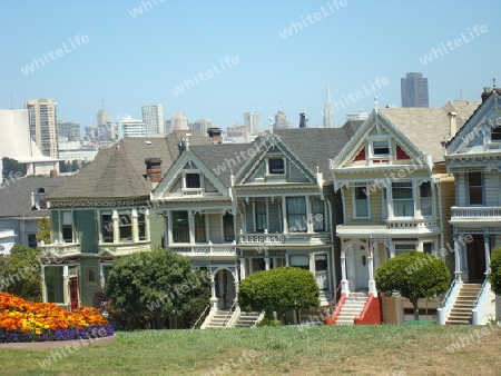 Painted Ladies