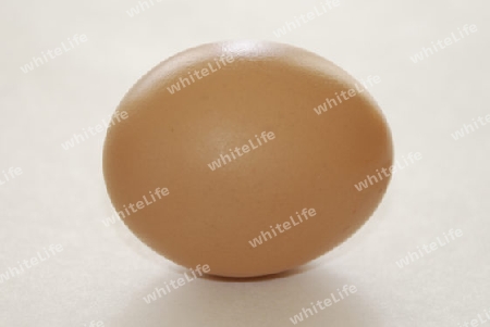 Egg