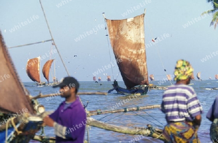 Asien, Indischer Ozean, Sri Lanka,
Ein traditionelles Fischerboot mit Fischern im Kuestendorf Negombo an der Westkueste von Sri Lanka. (URS FLUEELER)






