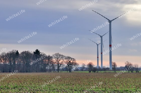 Panoramic view on alternative energy wind mills in a windpark