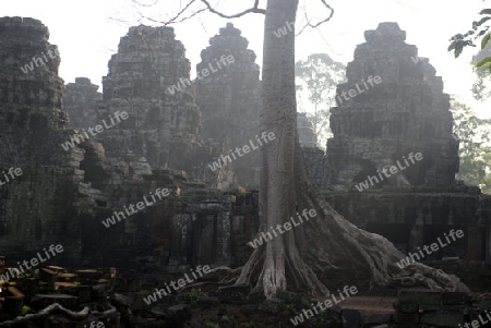 The Temple of  Banteay Kdei in the Temple City of Angkor near the City of Siem Riep in the west of Cambodia.