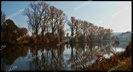 Herbst am Fluss