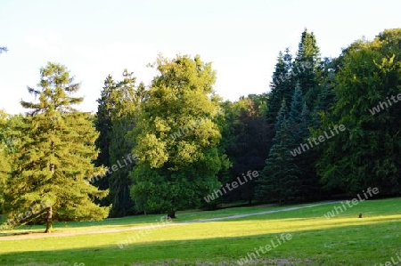 Kassel Bergpark Wilhelmsh?he Wiese