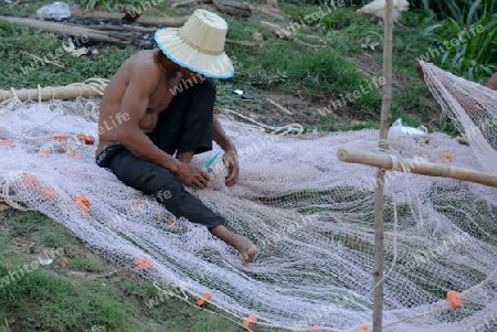 The People at wort in the Lake Village Kompong Pluk at the Lake Tonle Sap near the City of Siem Riep in the west of Cambodia.