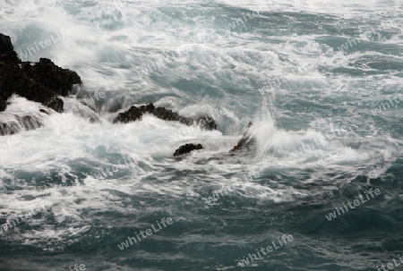 The coast in the village of  Puerto de la Cruz on the Island of Tenerife on the Islands of Canary Islands of Spain in the Atlantic.  