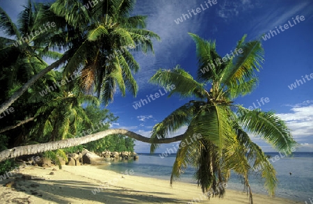 Ein Traumstrand auf der Insel La Digue auf den Seychellen im Indischen Ozean.