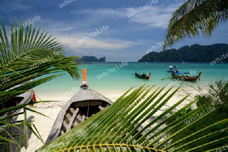 A Beach on the Island of Ko PhiPhi on Ko Phi Phi Island outside of the City of Krabi on the Andaman Sea in the south of Thailand. 