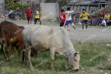 soccer player in soccer field in the town of Nyaungshwe at the Inle Lake in the Shan State in the east of Myanmar in Southeastasia.