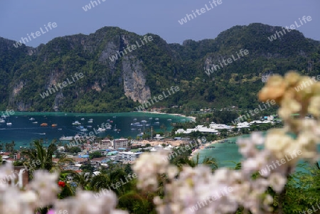 The view from the Viewpoint on the Town of Ko PhiPhi on Ko Phi Phi Island outside of the City of Krabi on the Andaman Sea in the south of Thailand. 