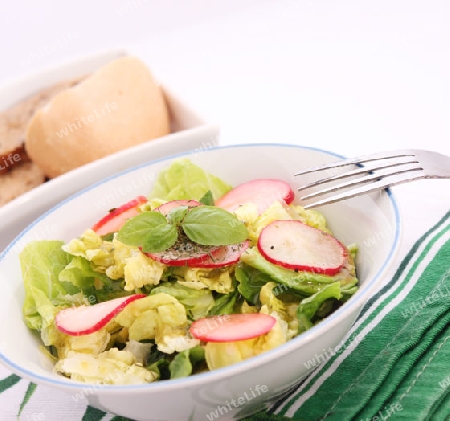 grüner Salat mit radieschen