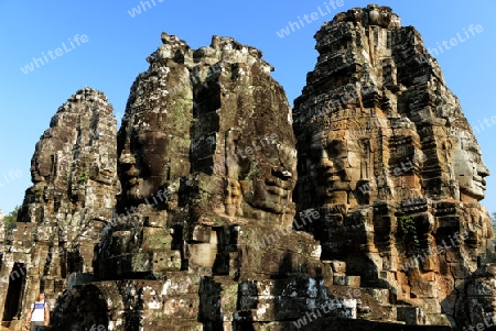 Stone Faces the Tempel Ruin of Angkor Thom in the Temple City of Angkor near the City of Siem Riep in the west of Cambodia.