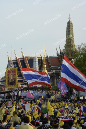 Tausende von Thailaender zelebrieren den Kroenungstag des Koenig Bhumibol auf dem Sanam Luang Park vor dem Wat Phra Kaew in der Stadt Bangkok in Thailand in Suedostasien.  