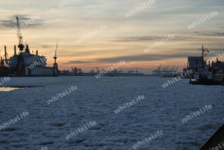 Hafen Hamburg Fototour