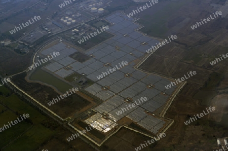 Die Landwirtschaft am rande der Stadt Bangkok in Thailand in Suedostasien.