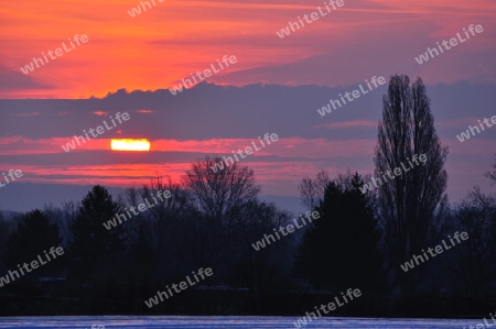 Morgendlicher Folienacker