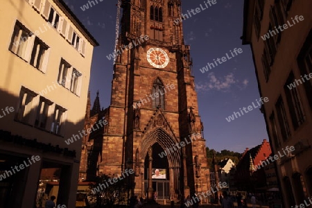  the muenster church in the old town of Freiburg im Breisgau in the Blackforest in the south of Germany in Europe.