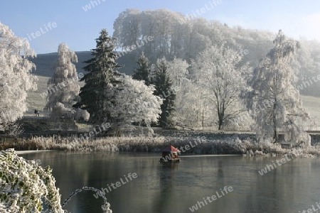 Der Weiher