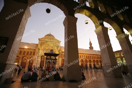 Asien, Naher Osten, Syrien, Damaskus,   Der Innenhof der  Omaijad Moschee im Souq und Altstadt von Damaskus in der Hauptstadt von Syrien. 