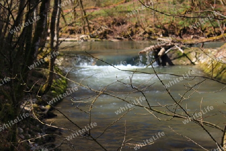 Der Bach im Hintergrund