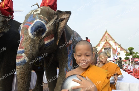 Das Songkran Fest oder Wasserfest zum Thailaendischen Neujahr ist im vollem Gange in Ayutthaya noerdlich von Bangkok in Thailand in Suedostasien.  