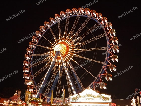 Riesenrad bei Nacht 1